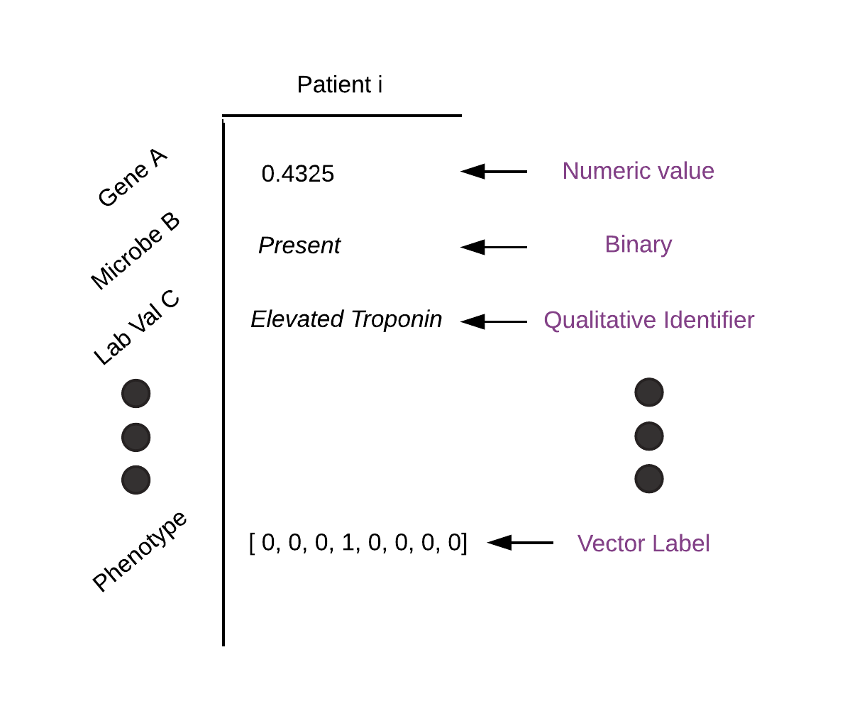 _images/DataFrame-1-Row.png